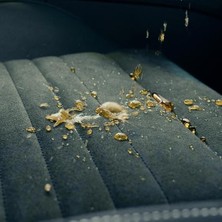 Cabincare Araç Kumaş Yüzey Nano KAPLAMA-500 Ml-Koltuk,tente Su Itici,araç Iç Bakım, Detailing, Araç Koltuk Döşeme Koruyucu, Leke Önleyici Sprey