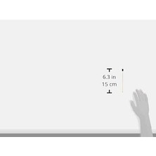 Fırçalı Daktilo Silgisi