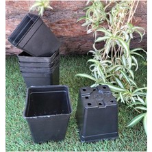 Kare Saksı 0,23 Lt 7x7,5 cm 60 Adet Üretim Saksısı Siyah Saksı Kare Üretim Saksı Plastik Saksı