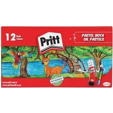 Ayko 12'li Pastel Boya - Karton Kutu