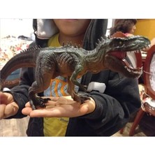 Store T-Rex Süper Gerçekçi Dinazor Trex Figür 30 cm Kapanıp Açılabilen Ağız Hediye Oyuncak Dinozor, Çok Renkli