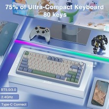 F75 Mekanik Kablosuz TKL Klavye Pastel Reaper Switch Ev Ofis Kullanımı İçin RGB Özellikli