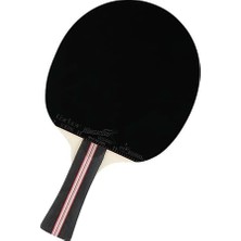 Smash Ittf Onaylı Masa Tenisi Raketi