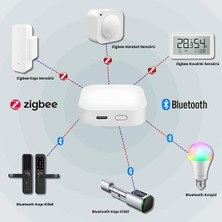 Uyumlu Zigbee + Bluetooth Köprü Cihazı Type-C Girişli (Tuya, Smart Life Uyumlu Gateway Hub)