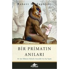Ayko Bir Primatın Anıları: Bir Sinir Bilimcinin Babunlar Arasındaki Sıra Dışı Yaşamı