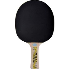 Schıldkröt Tt Raket Legends 500 Fsc