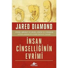 Ayko Insan Cinselliğinin Evrimi