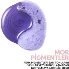 Ayko Professionals Invigo Blonde Recharge Cool Blonde Nötrleştirici Mor Saç Kremi 200 ml