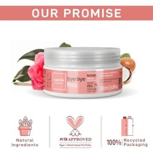 Ayko Professıonal Essentials Bye Bye Frizz Maske, 200ML