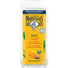 Ayko Lpm Mango Passion Fruit 650 ml