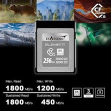 Element 256GB Cfexpress Type-B Hafıza Kartı