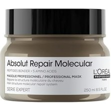 Ayko Professionnel Paris Absolut Repair Molecular Tüm Yıpranmış Saçlar Için Yoğun Onarıcı Maske 250 ml