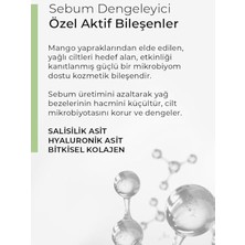 Ayko Known Salisilik Asit Içeren Sebum Dengeleyici Tonik 200 ml