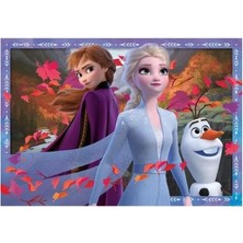 Ayko Puzzle, Wd Frozen2, 2X24 Parça