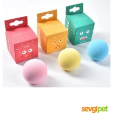 Svgpt Ctnp Pilli Sesli Interaktif Oyun Topu 1 Adet