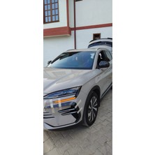 Bir Aksesuar Al Byd Seal u Dm-I / Ev Modeli Için Karbon Desenli Ön Tampon Kaşı