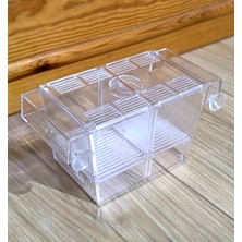 Ti-Sert Aquawe Çift Bölmeli Lepistes Canlı Doğuran Balık Yavruluğu Fish Breeder Box