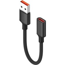 Hype Store USB 3.0 To Type C 3.1 Şarj Data Çevirici Dönüştürücü Cable 243