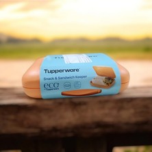 Feyza Design Pratik ve Şık Sandviç ve Atıştırmalık Taşıma Kabı