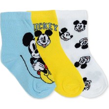 Disney Baby Disneybaby, Erkek, 3lü Soket Çorap, Lisans Baskılı