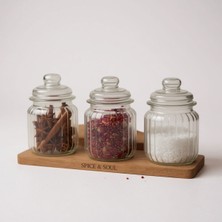 Feyza Design 3'lü Vakum Kapaklı Kavanoz Seti, Baharatlık Takımı 3X250 ml