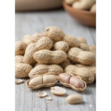 Serden Kabuklu Yer Fıstığı 500GR