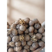 Serden Kabuklu Cevizyerli Chandler Ince Kabuklu 500GR