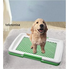 Teknonisa Köpek Çiş Eğitim Matı 51X35