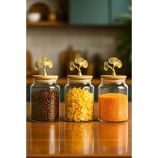 Feyza Design 3'lü Bambu Kapaklı Ginkgo Figürlü Saklama Kabı Seti, 890ML, Orta Boy