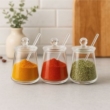 Feyza Design Şık 3'lü Borosilikat Cam Baharatlık Seti, Kapak ve Kaşıkli, Modern Tasarım