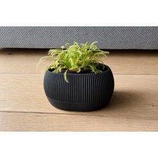 3D Snaxx Çizgili Dekoratif Saksı – Otomatik Sulama Özellikli Modern Bitki Saksısı