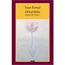 Yapı Kredi Yayınları Ortadirek - Dağın Öte Yüzü 1 Türkçe Kitap 100 Sayfa Ciltsiz