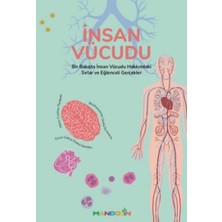 Mandolin Yayınları Insan Vücudu