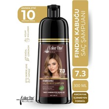 Color One Fındık Kabuğu (Hazelnut Brown) Saç Pigment Şampuanı 7.3 | 300 ml & Ton Etkisi
