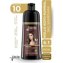 Küllü Koyu Kumral (Ash Dark Brown) Saç Pigment Şampuanı 6.1 | 300 ml & Ton Etkisi