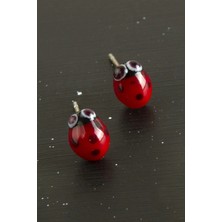 Renklime Uğur Böceği Cam Küpe