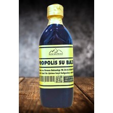 Nurbal Propolis Ekstrak Su Bazlı 140CC