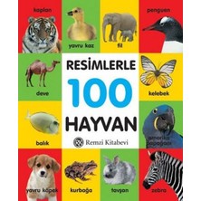 Remzi Kitabevi Resimlerle 100 Hayvan (Küçük Boy Ciltli)