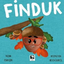 Çınaraltı Yayınları Finduk