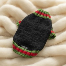 Lady Fify Kedi ve Köpek Için Yeşil Kırmızı Çizgili Siyah Kazak