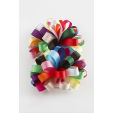 Renklime Çiçek Kurdale Pens Toka 2 Adet