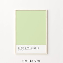 Ninastore Danimarka Pastel Dekorasyonu / Renk Bloklu Baskılar / Pastel Yeşil Sanat / Anında Indirme / Öğrenci