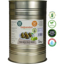 Doğamdan Yeşil Incir (Iğlek) Reçeli 5000 gr