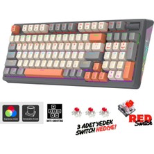 Miaxtreme K85 Tam Mekanik Red Switch Reinbow Tasarım Işıklandırmalı Kontrolcü 96 Tuş Gaming Oyuncu Klavyesi