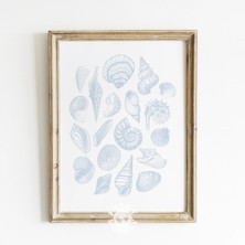 Ninastore Sahil Temalı Torun Odası Dekorasyonu / Mavi Deniz Kabukları Duvar Sanatı Baskısı / Vintage Sahil Est
