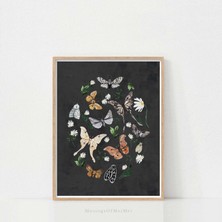 Ninastore Güve ve Kelebek Baskısı: Vintage Cadılar Bayramı Botanik Sanatı (Dijital Indirme)