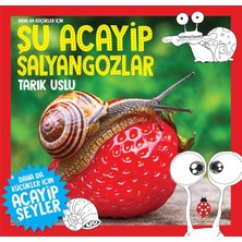 Uğurböceği Yayınları Daha Küçükler Için Şu Acayip Salyangozlar