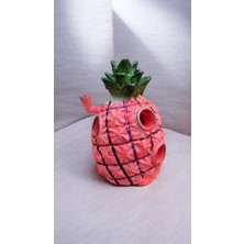 Medusa Sünger Bob Temalı Akvaryum Dekoru