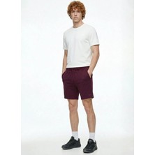 Discovery Expedition Sweat Şor, M, Bordo