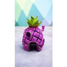 Medusa Sünger Bob Temalı Akvaryum Dekoru